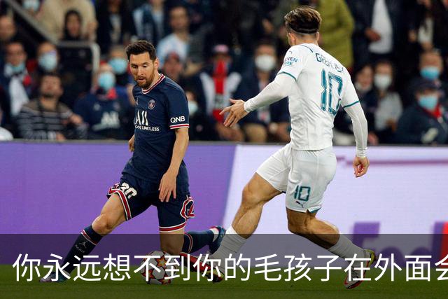 你永远想不到你的毛孩子在外面会被叫什么！网友：坚果被叫建国…