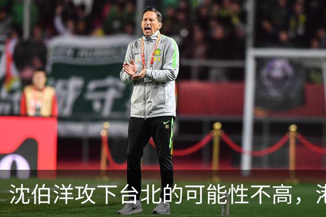 沈伯洋攻下台北的可能性不高，港媒：卢秀燕接任蒋万安竞总主委，风险不高利益不小