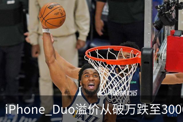 iPhone Duo溢价从破万跌至3000：囤货黄牛一夜亏掉2.5万，首发“电子茅台”神话破灭
